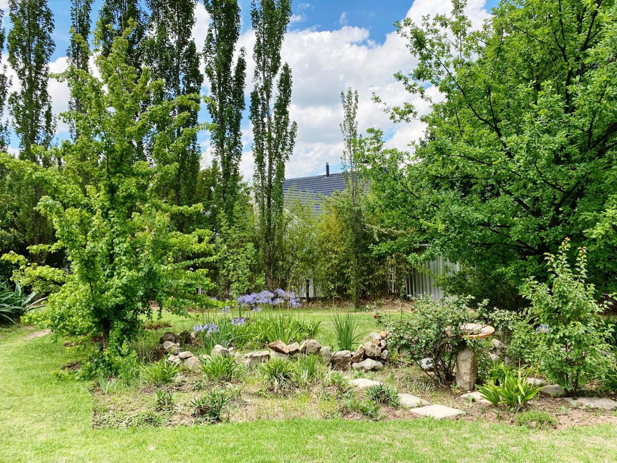 Collett House And Lavender Cottage Clarens Exterior photo