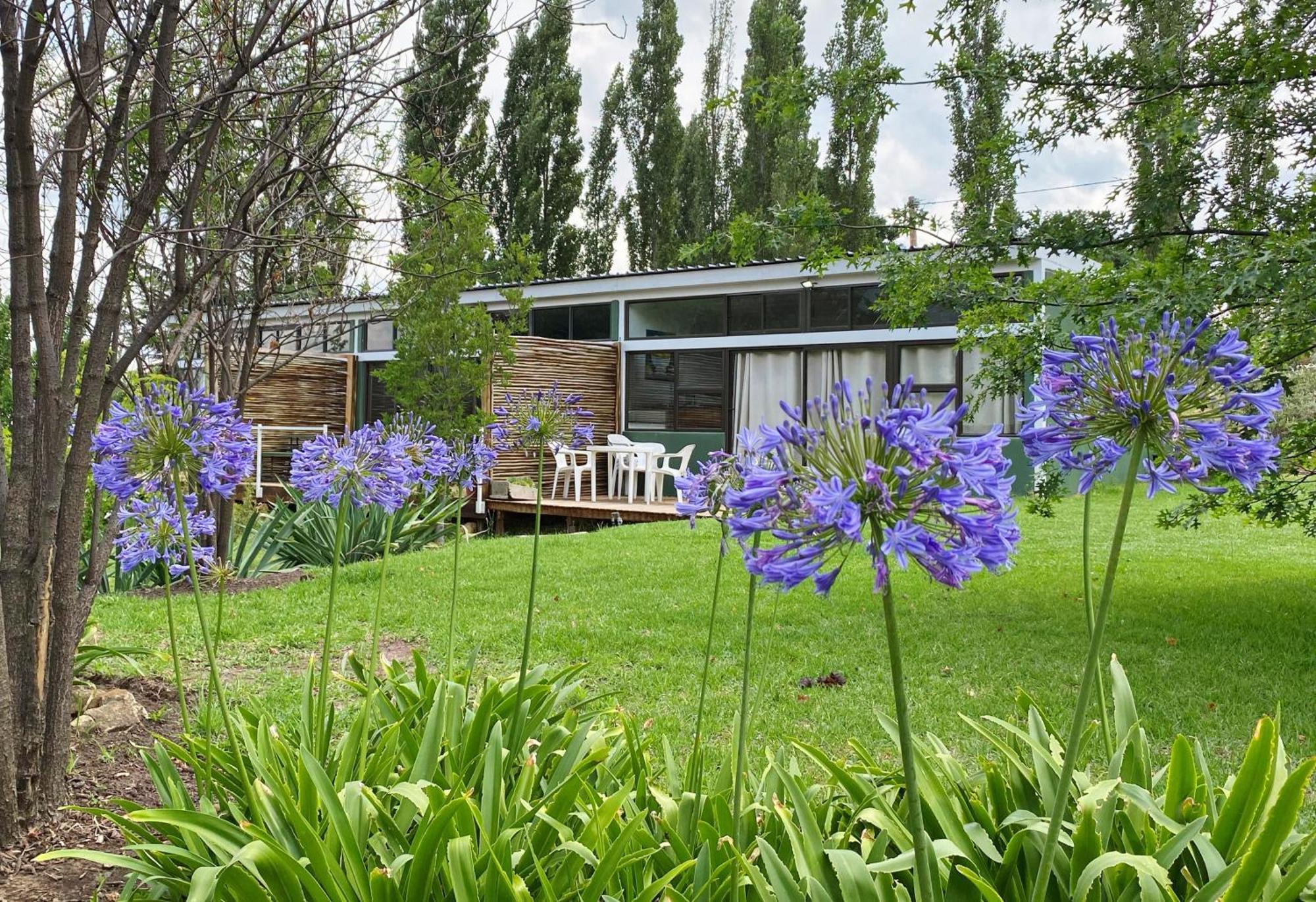 Collett House And Lavender Cottage Clarens Exterior photo